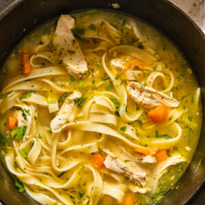 chicken noodle soup